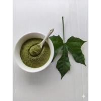 ราคา คะน้าเม็กซิกัน/ใบผงชูรส organic บดผงบรรจุ 25 กรัม (49107482046)