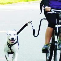 ราคา [arutoxalc] สายจูงสุนัขจักรยานสิ่งที่แนบมากลางแจ้งนอกขี่จักรยานจักรยานสายจูงสุนัขเดิน (44908105792)