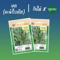 ราคา เมล็ดผัก เมล็ดเคล ผักเคล คะน้าใบหยิก คะน้าใบหยัก เคล เคลควีน Kale l เจียไต๋ เมล็ดพันธุ์ผัก ปลูกผัก (8612295824)