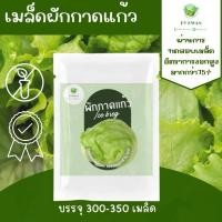 ราคา เมล็ดผักสลัด ผักกาดแก้ว (27451943071)
