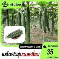 ราคา บวบเหลี่ยม เมล็ดพันธุ์บวบเหลี่ยม 35 เมล็ดงอกง่ายโตไว☘️ผลดกทานอร่อย (26474651873)