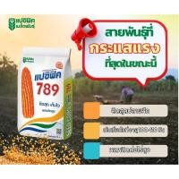 ราคา เมล็ดพันธุ์ข้าวโพดเลี้ยงสัตว์ แปซิฟิค 789 3.5 หุน 10 กิโล (46702220472)