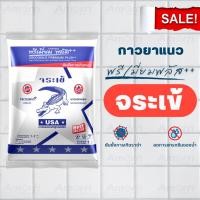 ราคา กาวยาแนว พรีเมี่ยมพลัส++ ตราจระเข้ (23140296402)