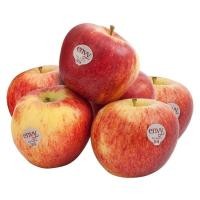 ราคา แอปเปิ้ลเอนวี่ แพค6 Envy Apple Pack 6 [หมายเลขบาร์โค้ด 0000033486024 ] สินค้าคุณภาพดี คัดสรรอย่างตั้งใจ (41878554898)