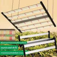 ราคา สินค้ามือสอง พร้อมส่งไฟปลูกต้นไม้ LED Grow Light 6BAR 1000W Samsung LM301B ไฟเลี้ยงต้นไม้ led ปลูกต้นไม้ หลอดไฟปลูกพืช (41918378177)