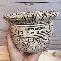 ราคา A Seat Studio กระถางแคคตัส กระบองเพชร ไลทอป ไม้อวบน้ำ กระถาง 6นิ้ว (9221982007)