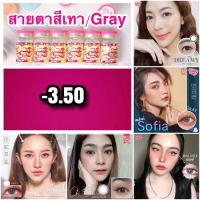 ราคา คอนแทคเลนส์ สายตา -350สีเทา Kitty kawaii สายตาสั้น -3.50 (21835186430)