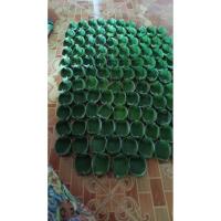 ราคา ☘️กระทงใบตองสดจำนวน 50 ใบ (40311958102)