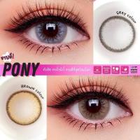 ราคา PONY GRAY/BROWN (กลาง) (25508810016)