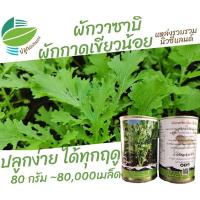 ราคา ผักกาด เขียวน้อย ผักกาดหิ่น ผักวาซาบิ (Mustrad Green)​ 80,000 เมล็ด 80กรัม #ลาบ #วาซาบิ #เขียวน้อย #ผักกาดสร้อย (5561703172)