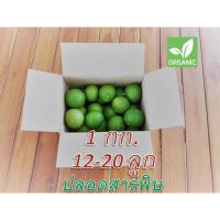 ราคา มะนาวสด มะนาวพันธุ์แป้นพิจิตร สดใหม่จากสวน อยุธยา (3857062186)