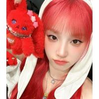 ราคา Song Yuqi gigi Rabbit Bag Hanging SOLO Red Rabbit Hanging Keychain Small Doll Cotton Doll Doll Girl20260327 (43579548610)