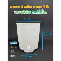 ราคา กระถาง​ทรงสูง​ 4 นิ้ว​ เซ็ตละ​ 10 ใบ#กระถางกระบองเพชร#ฮาโวเทีย#กระถางแปดเหลี่ยม#กระถางทรง#เพชร (5688330737)