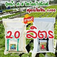 ราคา ชุดคู่ปุ๋ยเอบี ขนาด 20 ลิตร AB เอบี(แบบผง)ปุ๋ยไฮโดรโปนิกส์ น้ํานิ่งน้ำวน ปุ๋ยผัก Hydroponics ปุ๋ยสารละลายเอบี (23371226217)