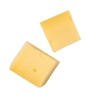 ราคา เวสแลนด์ ชีสเกาด้า แพ็ค 5 ชิ้น ขนาด 100 กรัม - Gouda in Net 5 Pieces 100g Westland brand (24612682248)
