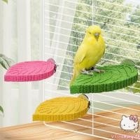 ราคา Vision Parrots Perch Chew ของเล่นกรงนกอุปกรณ์เสริมสําหรับ Beak Nail Trimming และ Play (48656969405)