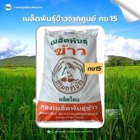ราคา กข15 เมล็ดพันธุ์ข้าวปลูก เมล็ดพันธุ์ข้าวจ้าวดอ เมล็ดพันธุ์ใหม่ พร้อมปลูก ชั้นพันธุ์ขยาย - บรรจุ 25 กิโล โดยกรมการข้าว (41079914678)