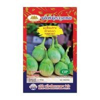 ราคา เมล็ดมะเขือเปราะ เจ้าพระยา eggplant MT/OP-107 ตราภูเขาทอง เมล็ดมะเขือเปราะเจ้าพระยา เมล็ดมะเขือ (18384535304)