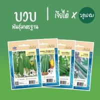 ราคา เมล็ดผัก เมล็ดบวบ บวบหอม บวบเหลี่ยม บวบงู บวบ เม็ดบวบ l เจียไต๋ เมล็ดพันธุ์ผัก ปลูกผัก (7389012755)