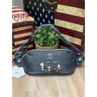 ราคา กระเป๋าคาดอก คาดเอว Anello X Peanuts Leather Waist Bag รุ่น OS-S040อีกหนึ่งคอลเลคชั่นจาก anello (27565062084)