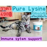 ราคา ไลซีนแมว Pure Lysine powder ไลซีนผง cat lysine วิตามินแมว กระตุ้นภูมิต้านทาน 250 กรัม (7443977430)