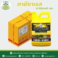 ราคา (ยกลัง*6) คายีซาเรส (กลูโฟซิเนต-แอมโมเนียม) 15% ขนาด 4 ลิตร ยาฆ่าหญ้าทั้งใบแคบและใบกว้าง ใช้แทนพาราควอต ของแท้แน่นอน (55551806498)