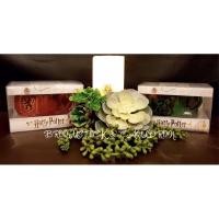 ราคา พร้อมส่ง‼️ถ้วยมัคเซรามิค HARRY POTTER (ลิขสิทธิ์แท้) (3647847793)