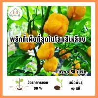 ราคา เมล็ดพันธุ์พริกที่เผ็ดที่สุดในโลกสีเหลือง (Carolina Reaper) 50 เมล็ด (41479647463)