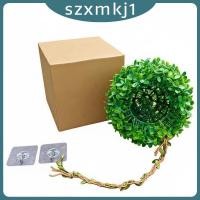 ราคา [Szxmkj1] ลูกบอลหญ้าเทียมออกแบบที่สมจริงแขวนสัตว์เลื้อยคลานซ่อนให้ที่พักพิงถ้ําสัตว์เลี้ยงติดผนังสําหรับสัตว์เลื้อยคลาน,นกขนาดเล็ก,วิวาเรียม,อา (47708912220)
