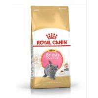 ราคา Royal canin British Shorthair Kitten 2 k.g. (12679532392)