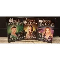 ราคา PRELOVED FICTION ENGLISH NOVELS - VIRGINIA ANDREWS (27883310660)