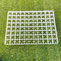 ราคา ถาดฟักไข่ไก่ 88 ฟองใส่ไข่ไก่ 50x36x3 cm (16535381710)