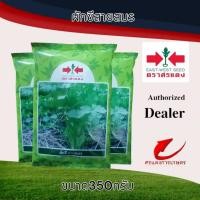 ราคา เมล็ดพันธุ์ผักชีสายสมร 350g (28910988911)