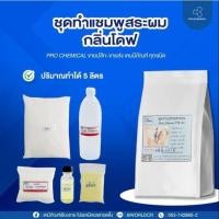 ราคา ชุดทำแชมพูสระผม (1 ชุด ผสมได้ 5 ลิตร) (7915335548)