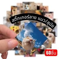 ราคา สติกเกอร์ลาย แมว/สุนัข (60 ชิ้น) กันน้ำ สําหรับติดตกแต่งกระเป๋าเดินทาง โทรศัพท์ #Z319-A (49853297934)