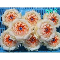 ราคา เหรียญโปรยทาน ดอกบัว ตัวเปล่า (22784776849)
