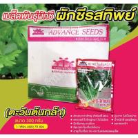 ราคา เมล็ดพันธุ์ผักชี รสทิพย์ (ยกลัง 70 ห่อ) ขนาด 300 กรัม (13570979235)