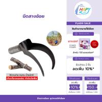 ราคา ✅ ถูกที่สุด ✅ มีดสางอ้อย อุปกรณ์ทำอ้อย อุปกรณ์การเกษตร อุปกรณ์แต่งสวน พร้อมส่ง เก็บเงินปลายทาง (28317058623)