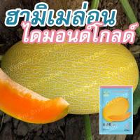 ราคา เมล็ดพันธุ์ฮามิเมล่อนไดมอนด์โกลด์ เมล็ดเมล่อนไข่มังกรทองคำ 50 เมล็ด เมล็ดแตงทิเบต เมล็ดแตงฮามิกัวสีทอง (25906121370)