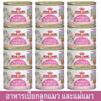 ราคา Royal Canin Mother & Babycat Mousse [195g x12] รอยัล คานิน อาหารเปียกแมวกระป๋อง สำหรับลูกแมว แม่แมวให้นม (1582385142)
