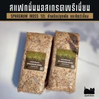 ราคา สแฟกนั่มมอส Sphagnum moss 12 L และสเฟกนั่มมอส 50g วัสดุปลูกต้นไม้และใช้สำหรับเลี้ยงสัตว์ ร้านแมวดำทำสวน (9541494193)