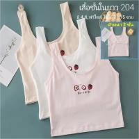 ราคา พี & ซีเค/#204 เสื้อชั้นในนักเรียนตัวยาว (ฟรีไซส์ 8-15 ขวบ) [คอตตอน 100%] ผ้า 2 ชั้น ใส่สบาย [ราคา 1 ตัว]: มี 4 สี (29755296192)