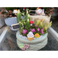ราคา กระถางจิ๋วบัวหลวงและกระบองเพชรหิน ขนาด 9x7ซม (48705102371)