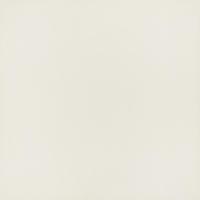 ราคา Marbella Marbella กระเบื้องแกรนิตโต้ 60x60 ซม. เดซ่า-ครีม DGDV6001 Glossy (4P) ปังสุดๆ (45453915989)