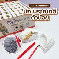 ราคา (พร้อมส่ง) ของเล่นขุดฟอสซิล สมบัติโบราณ ชุดขุดฟอสซิล พร้อมอุปกรณ์ ฟอสซิลไดโนเสาร์ ฟอสซิลอัญมณี (22454740764)