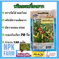ราคา เจียไต๋ พริกกะเหรี่ยงยาว พริกกะเหรี่ยง [ จำนวน 120 เมล็ด ] หมดอายุ 04/2569 พริกมีความเผ็ดมาก หอม (29030868522)