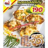 ราคา หอยเชลล์ใหญ่ นำไปย่าง อบชีส อร่อย (22550366747)