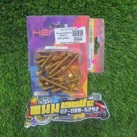 ราคา น็อตแคร้งเครื่องเลส/ (หัวเจาะ) KSR ชุบสีทอง รหัสสินค้า 026345 (3460415185)