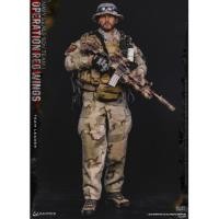 ราคา DAMTOYS Operation Red Wings -NAVY SEALS SDV TEAM 1 - Team Leader (มือสอง) (24007089500)
