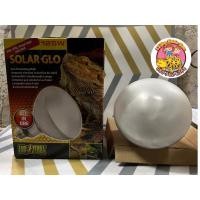 ราคา หลอดไฟ Solar Glo 80W หลอดไฟให้ความร้อนและUVB (29662871876)